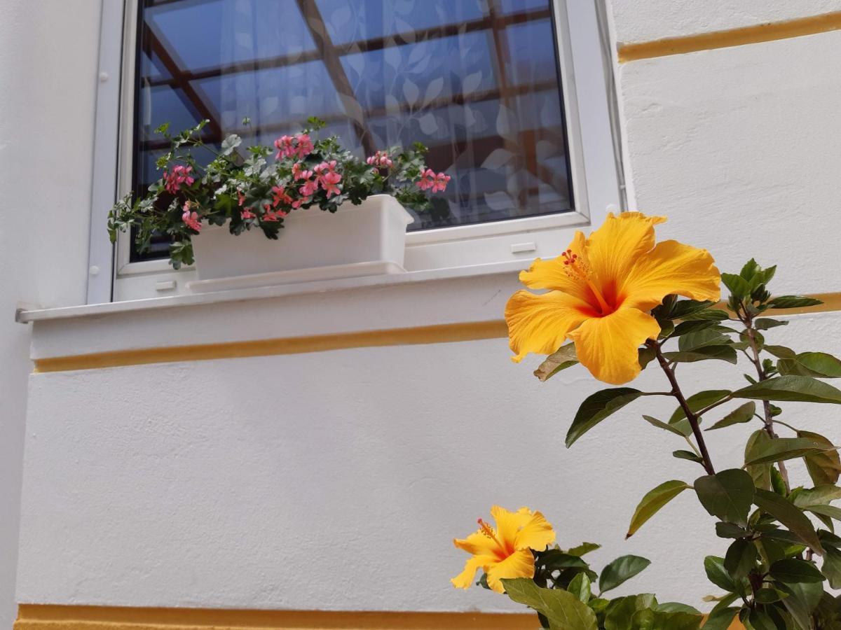 Thermal Garden Mosonmagyaróvár Екстериор снимка