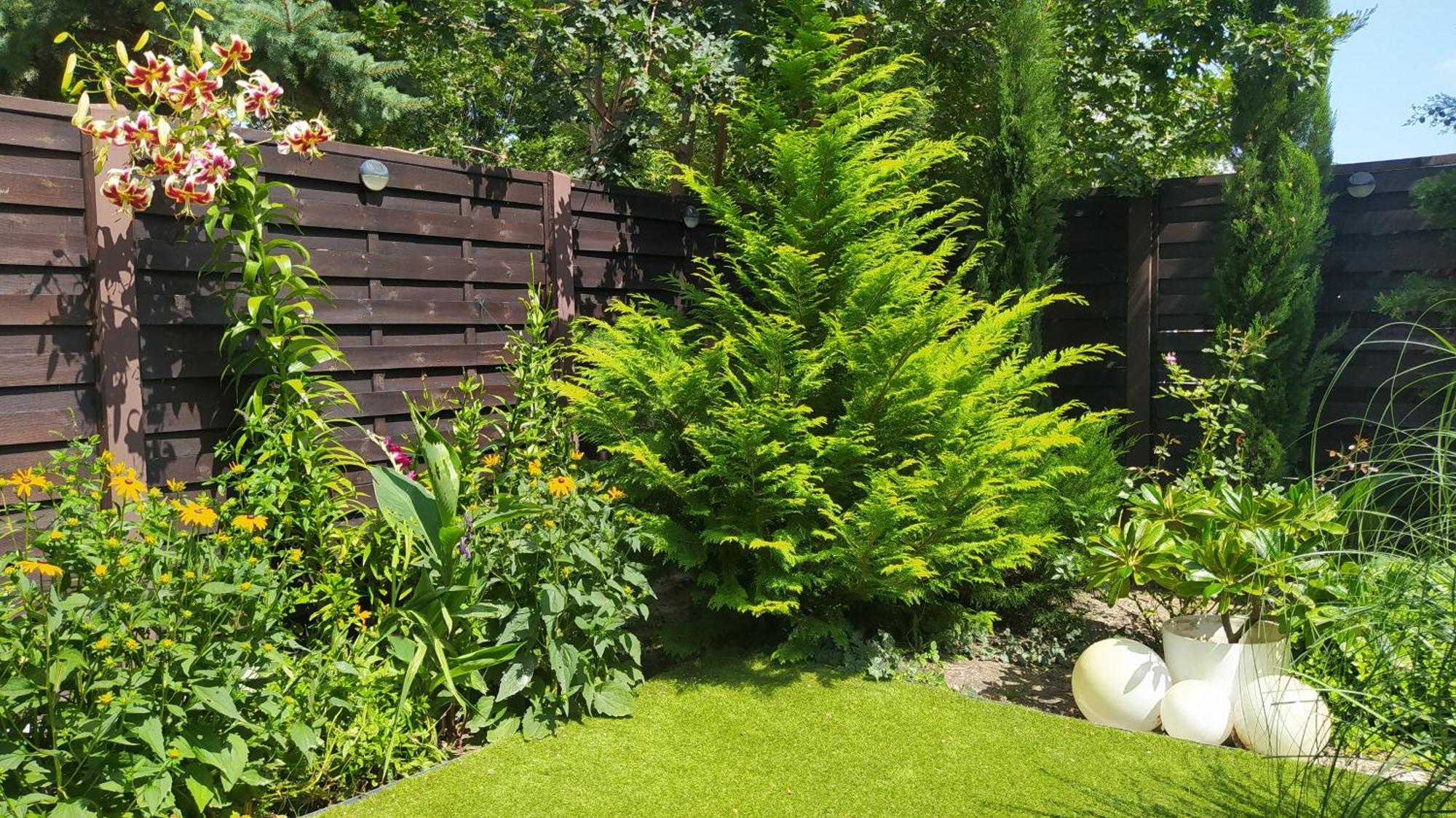 Thermal Garden Mosonmagyaróvár Екстериор снимка